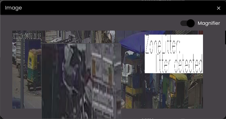 row_actions_image_magnifier.png